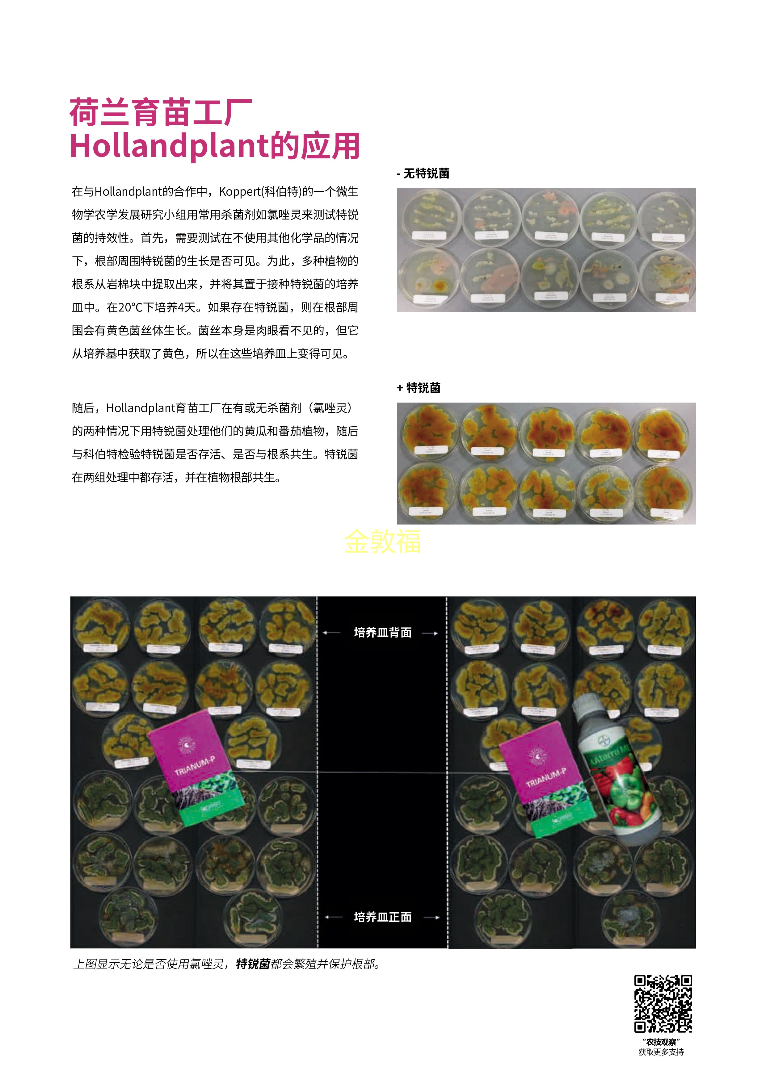 37000cm威尼斯(中国)有限公司官网