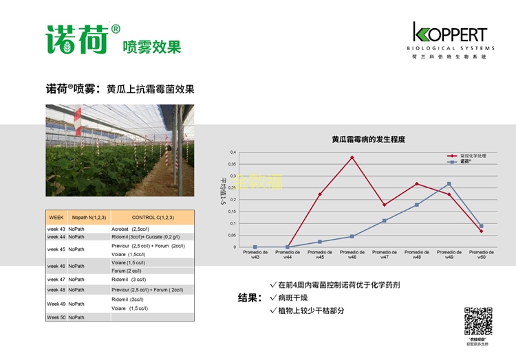 37000cm威尼斯(中国)有限公司官网