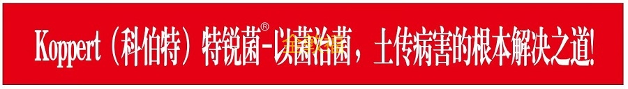 37000cm威尼斯(中国)有限公司官网