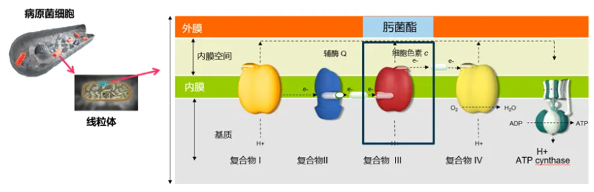 37000cm威尼斯(中国)有限公司官网