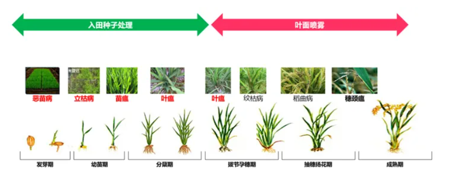 37000cm威尼斯(中国)有限公司官网